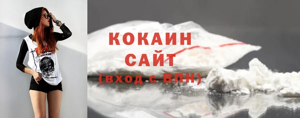 гидра Медногорск