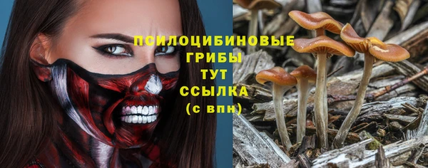 прущая мука Мегион