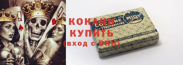 гидра Медногорск